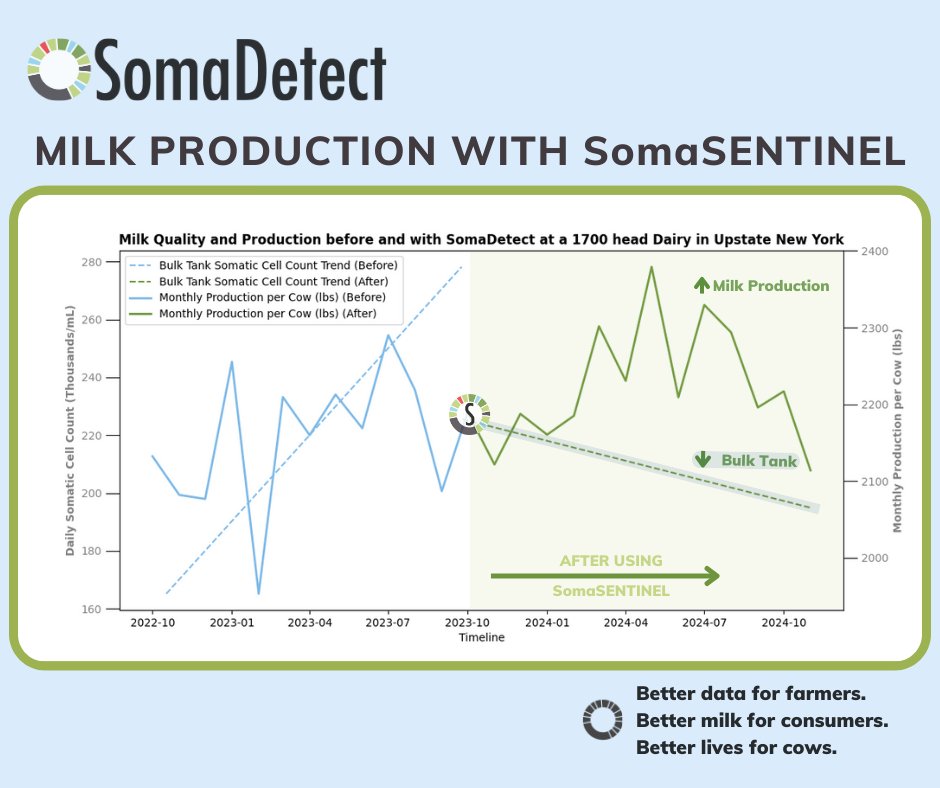 📈 Improve Herd Health, Increase Production! 🐄🥛

At a 3,500-head commercial dairy farm in North-Eastern Colorado, SomaSENTINEL is making a real impact to improve herd health. As a result, this farm has achieved a marked increase in overall milk production!

This data tells a