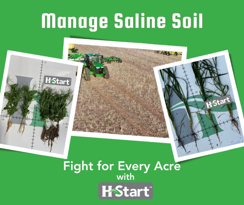 Soil compaction can reduce crop yields by up to 50%. Discover how beneficial microbes can help improve soil structure and boost productivity.
loom.ly/rm_YEQo
#SoilCompaction
#WestCdnAg
#SoilHealth