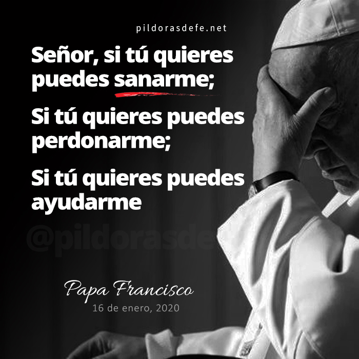 Pildorasdefe tweet media