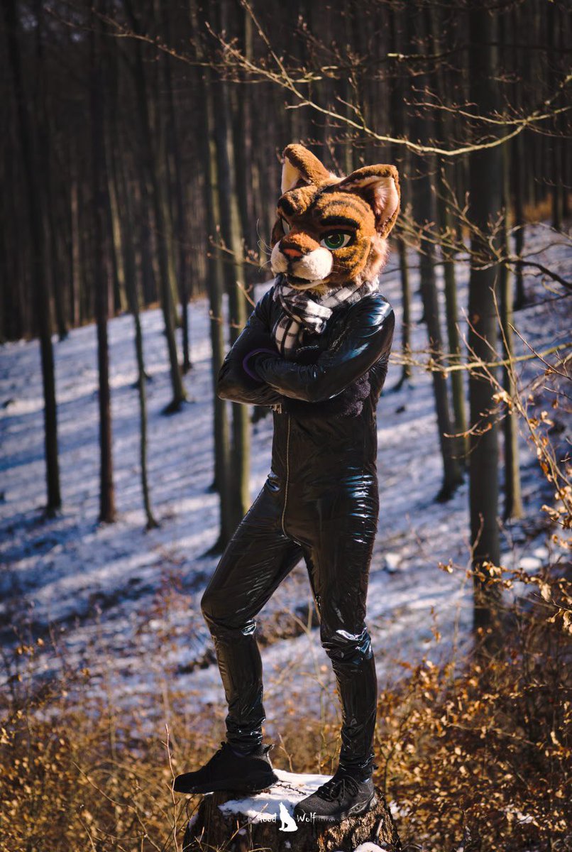 Are you gonna keep me waiting? I waited long enough for #shiny Friday

🦊 Konomi
✂️ R5 suits
📷 <a href="/GoodWolfSK/">GoodWolf</a> &amp; Atrox