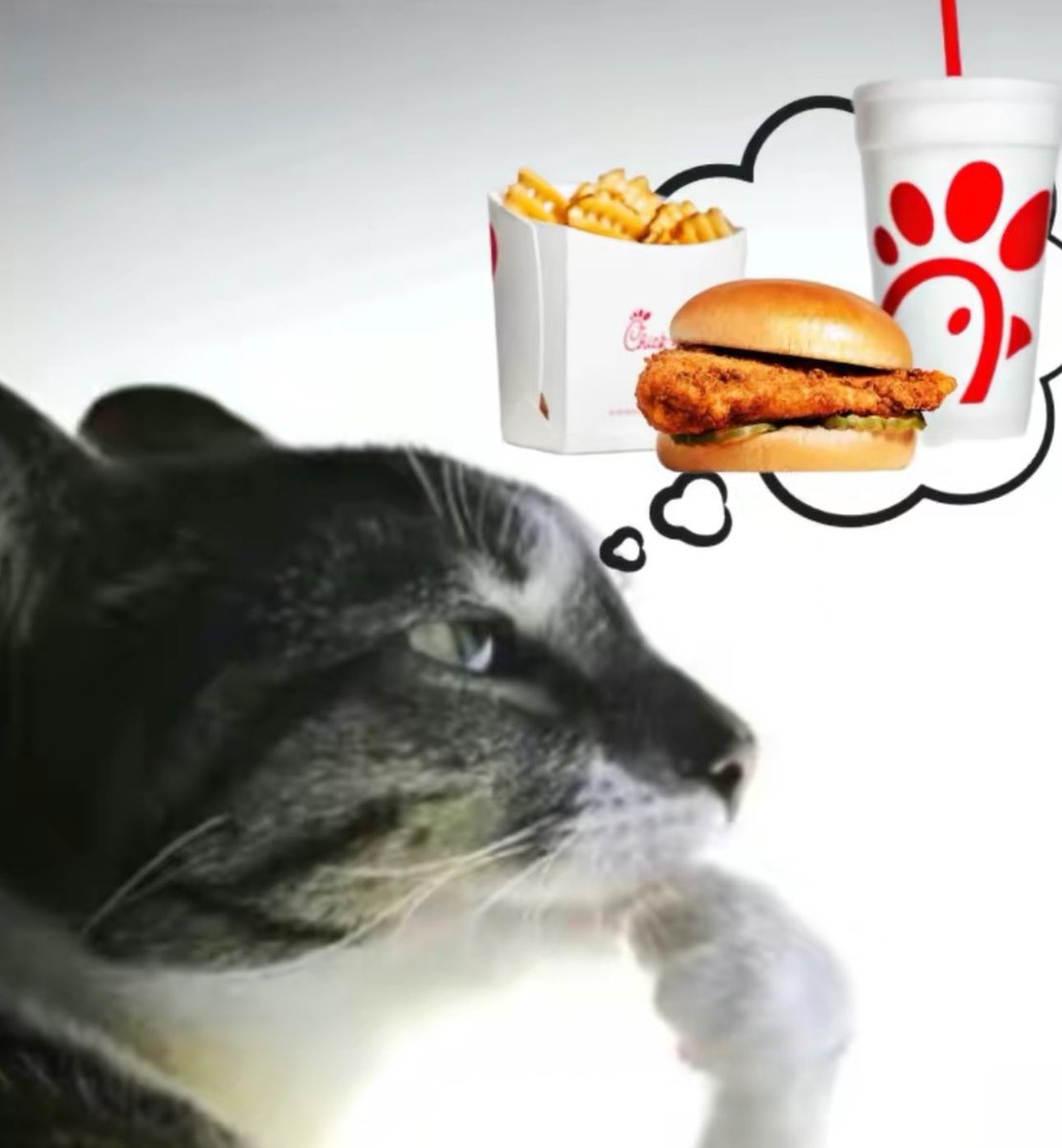 𝗕𝗿𝗲𝗲𝘇𝘆’🦉 (@ovobrezzzy) on Twitter photo 