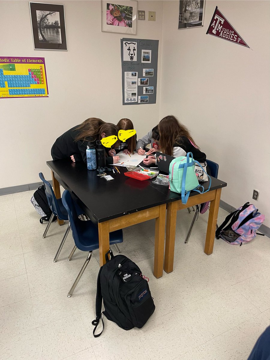 Sarah Rock tweet media