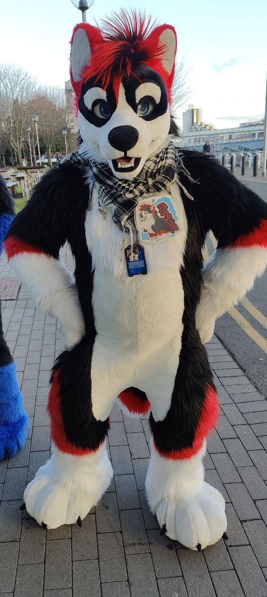 Happy #FursuitFriday. Hope everyone at NFC is having a great time! 

I got this lovely photo from <a href="/Cliff_747/">Cliff 💙🧡 🔜 Cfz/MegaPlex</a> at ScotiaCon a few weeks ago.