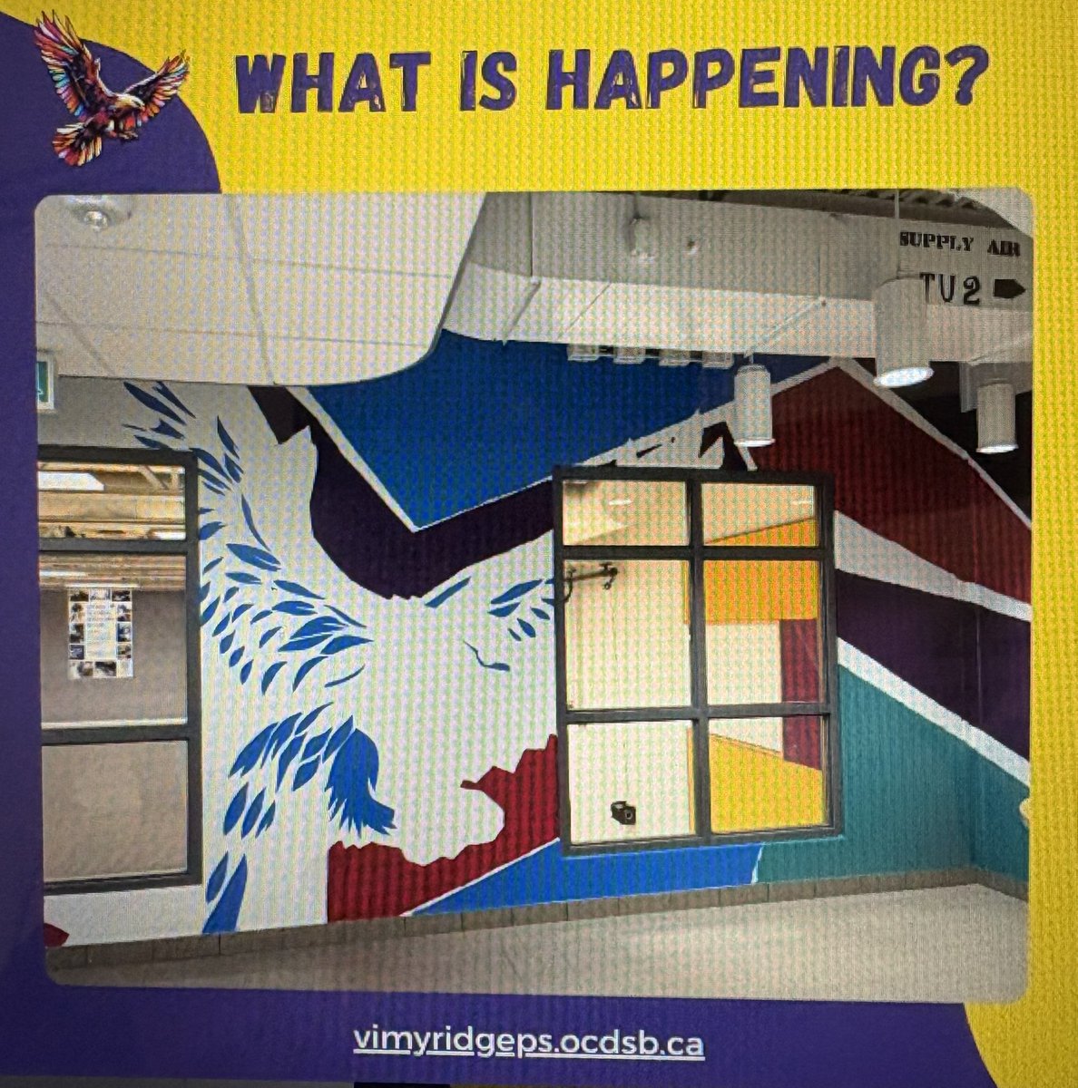 What is going on the Gym Wall?? Any guesses!?