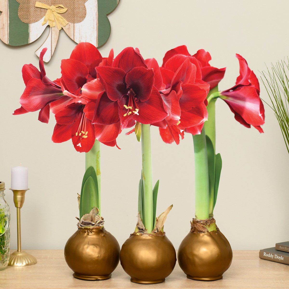 Bloomaker's tweet photo. 🍀 Luck is in Bloom! 🍀 Our St. Patrick’s Day Collection is here! Celebrate the season with vibrant green waxed amaryllis bulbs that bring a touch of luck and beauty to any space.

#StPatricksDay #LuckyBlooms #WaxedAmaryllis #Bloomaker https://t.co/XXIujsSUeO