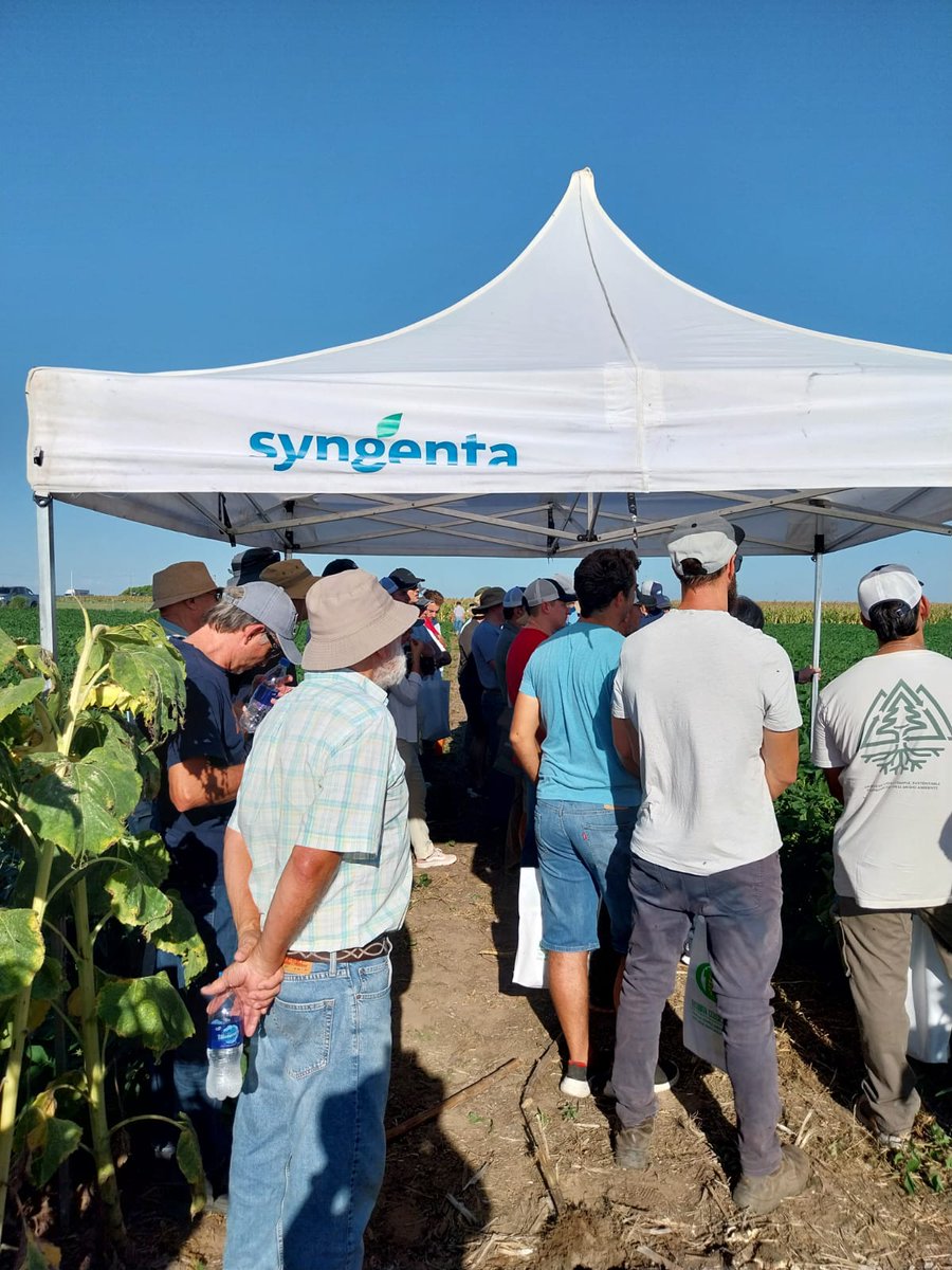marinelli_fran's tweet photo. Jornada calurosa la de ayer en V.Mackenna, pero los invitados firmes para intercambiar y compartir información.
Soja 🌱Nk 47x24 sts E excelente estado, con presencia de Anticarsia, Rachiplusia 🐛 y Chinches 🪲
#Virantra #Verdavis #MiravisDuo
@Syngenta_ar https://t.co/8TP17iBWrR