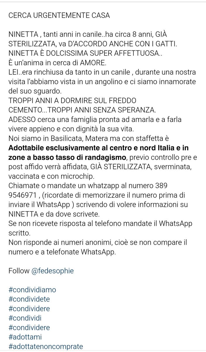 GuerraAchi97365's tweet photo. #NINETTA CERCA CASA ‼️‼️🚨🆘
GUARDATE COSA FA PER ESSERE SCELTA❤️❤️🙏🏼🙏🏼🏡🏡👇🏼👇🏼👇🏼👇🏼 https://t.co/nE35U2CwwX