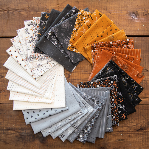 makeaquilt's tweet photo. 🌷What's New 🌷 What's Next at Rocking Chair Quilts - https://t.co/jKtxOPLaMd https://t.co/XmsINYZkuw