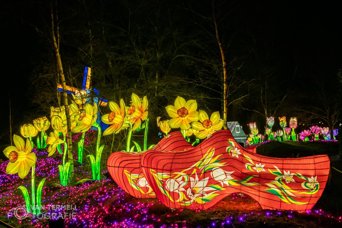ArieJanVT's tweet photo. Gisterenavond een prachtige wandeling #lightsafari @beeksebergen #azie #nachtfotografie #wildlife #nikon #genieten #kleurrijk https://t.co/mdfm9wrg3Q