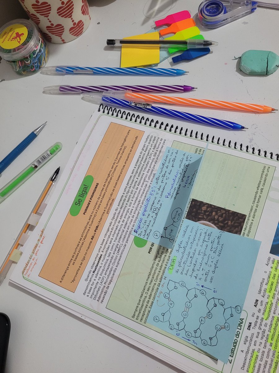 clarasstudying's tweet image. faço parte do grupo de pessoas que desorganiza a mesa toda pra estudar direito