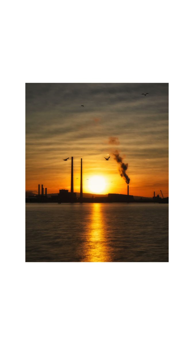 all the ways you wander tweet media