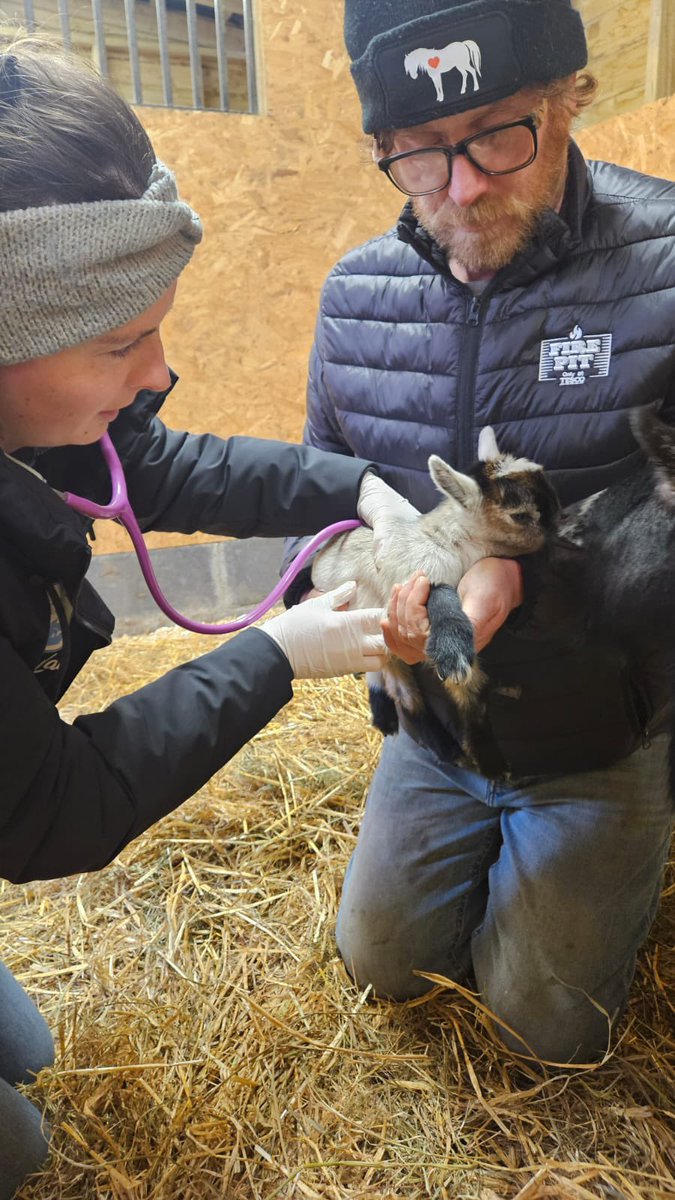 Momma and baby saved 💔💔💔

We can’t share the images of mum tied up with her dead baby beside her and her other little precious miracle cowering with the cold 💔💔💔💔

This is Timmy, his mum Tilda keeping close. Thank you to our lovely vet Katie Blackwater Veterinary Clinic