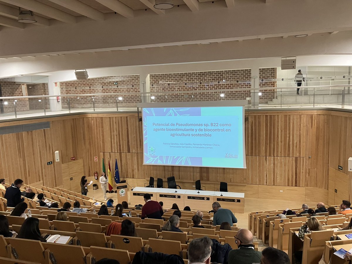 psanchez2515's tweet photo. He tenido la oportunidad de asistir a la XI Reunión del Grupo de Microbiología de Plantas de @SEMicrobiologia y presentar una charla sobre el potencial de Pseudomonas sp. B22 como agente bioestimulante y de biocontrol. Gracias a @BIO188, la organización y todos los participantes. https://t.co/8y1quVYMCU