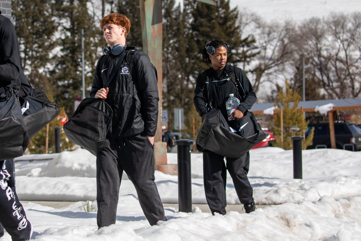 Montana Griz Basketball tweet media