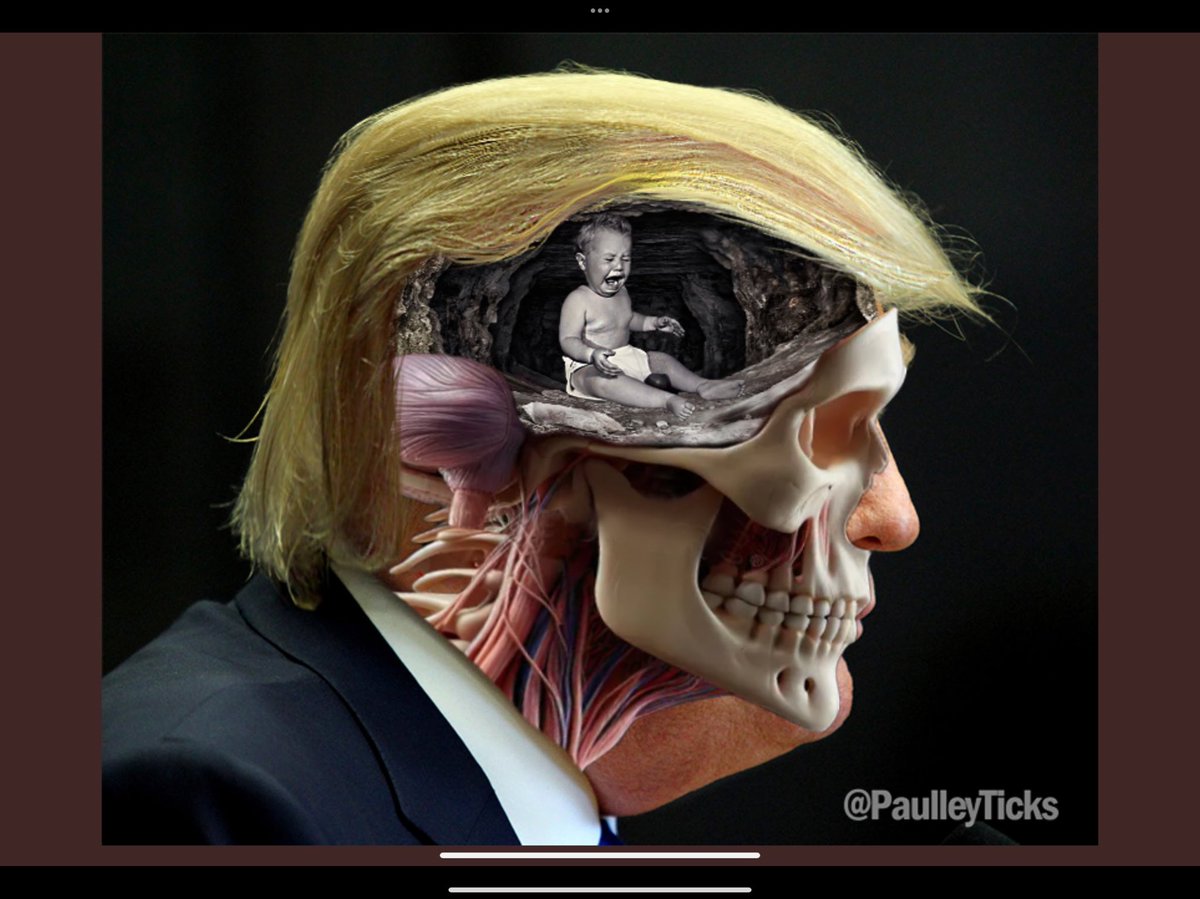 RunningWDems's tweet photo. #ThirdTermProject I suggest you sit down and find a job or another hobby
Trump will not even finish this term
His approval numbers are literally heading into the #DeadZone where no other president has ever been Chew on that
#wtpBlue https://t.co/KCWvh4YySf