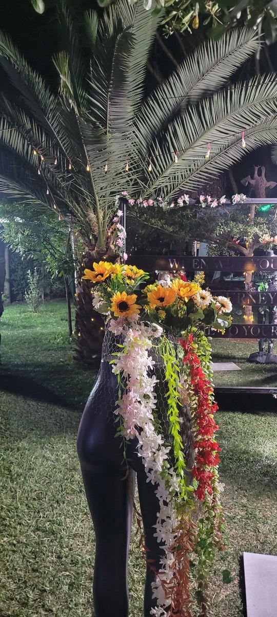 WildgardenerHQ's tweet image. When will you stare the journey back home to yourself?
#Docubox 🫦🥂