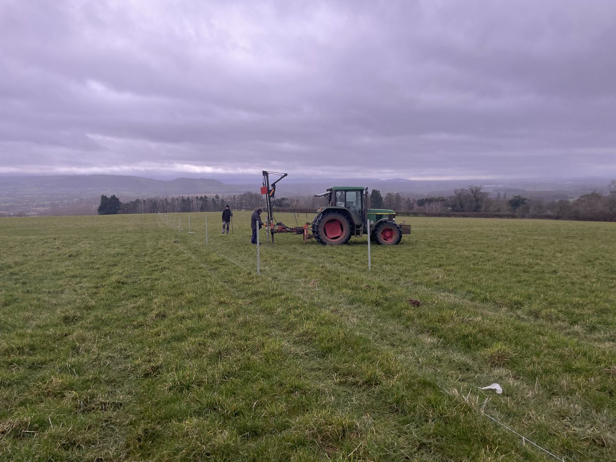 Jake Freestone tweet media