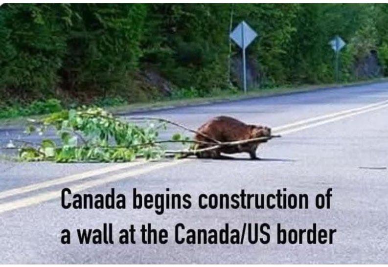 rssteele's tweet image. Ha ha ha!