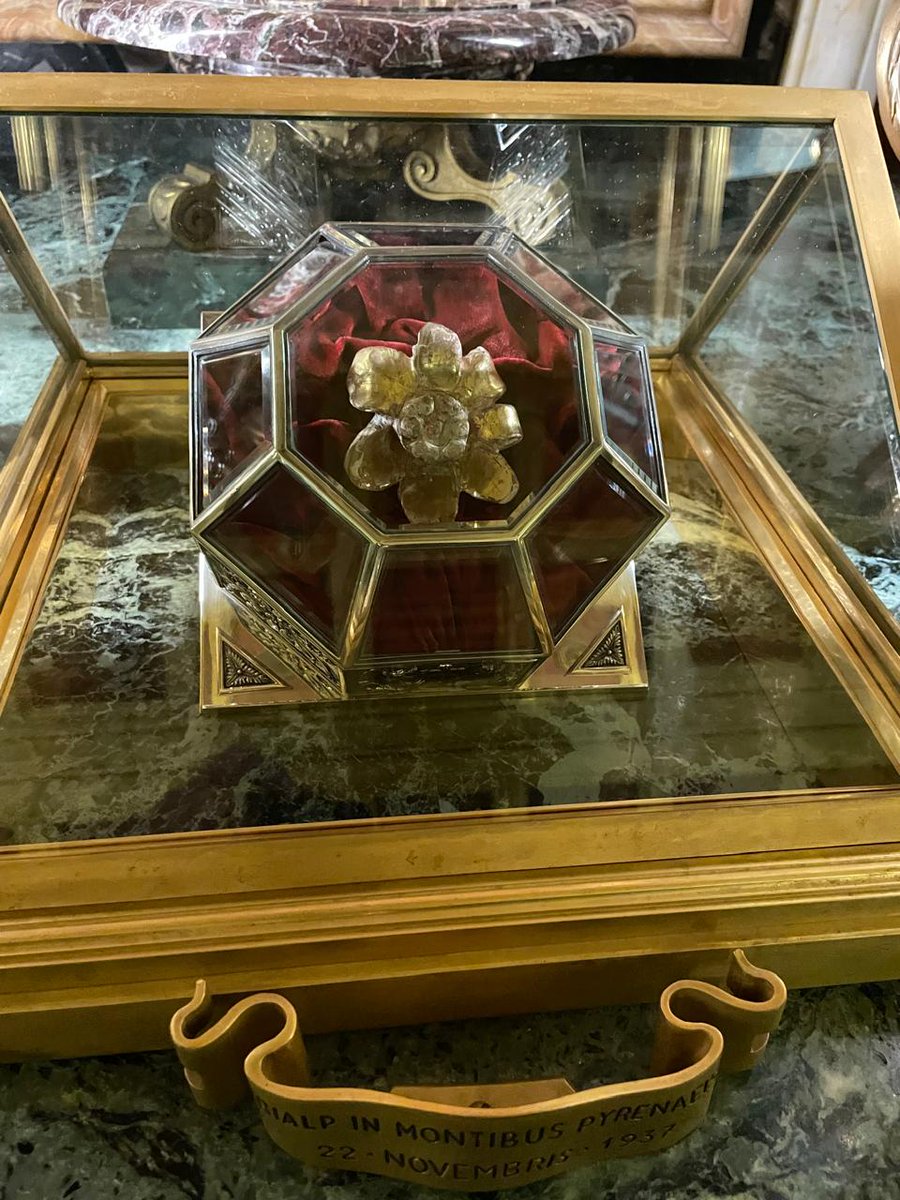 Paula Bistagnino tweet media