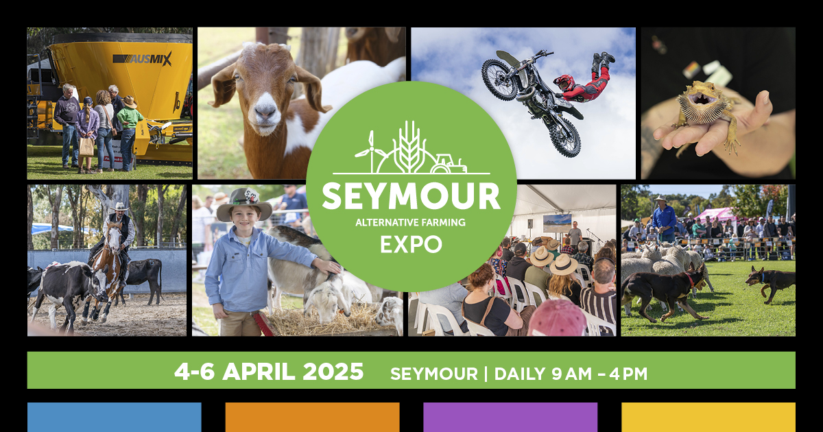 Ticketbooth (@ticketboothaus) on Twitter photo 🚜🌾 <a href="/SeymourExpo/">Seymour Expo</a> is back for its 34th year! 🌿🐄
Explore the latest in backyard & small farming, see live demos, meet adorable animals, enjoy camel rides, whip-cracking, motocross & more! 🍎🎶 A perfect school holiday adventure!
Grab tickets now! 🎟️👉 tblink.to/Seymour25 🚜🌾 <a href="/SeymourExpo/">Seymour Expo</a> is back for its 34th year! 🌿🐄
Explore the latest in backyard & small farming, see live demos, meet adorable animals, enjoy camel rides, whip-cracking, motocross & more! 🍎🎶 A perfect school holiday adventure!
Grab tickets now! 🎟️👉 tblink.to/Seymour25
