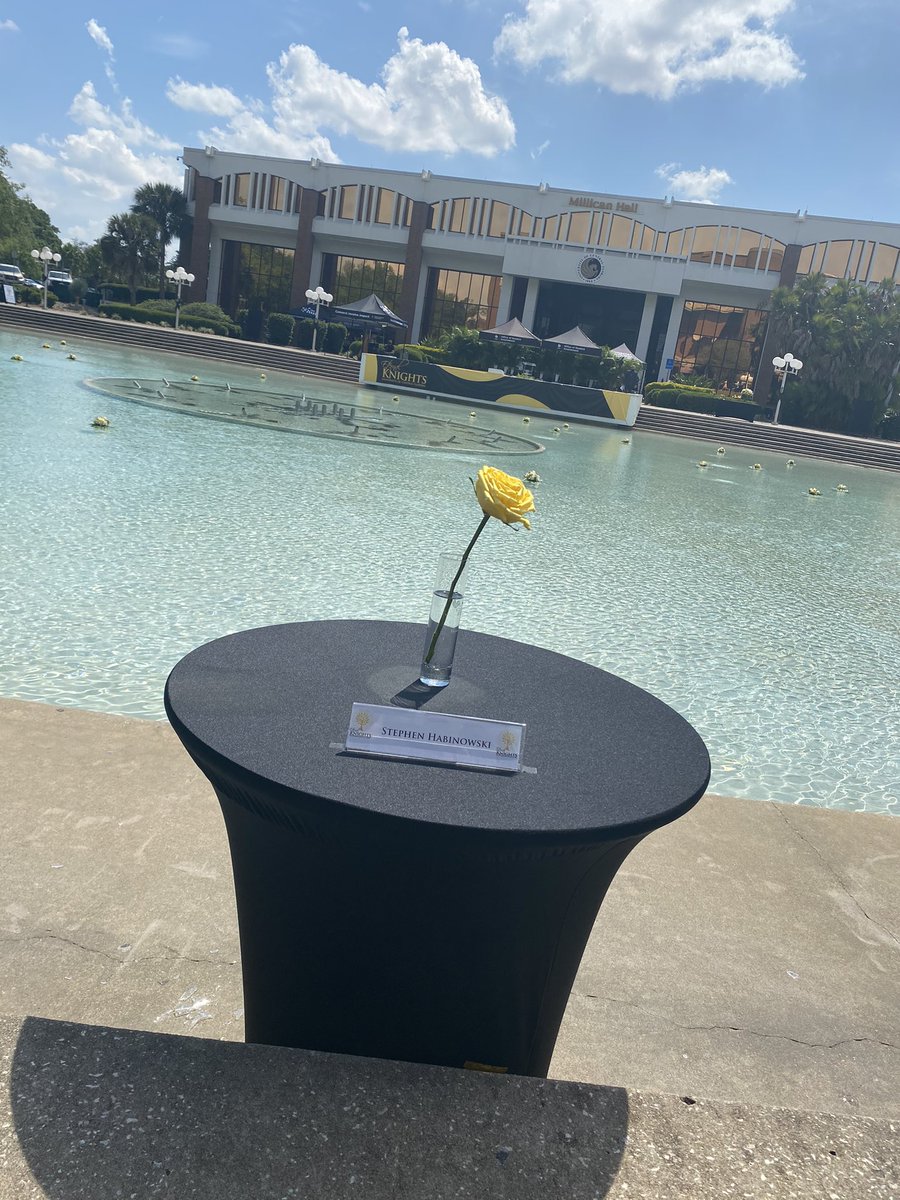 Donna🐬FinsUp🐬 tweet media