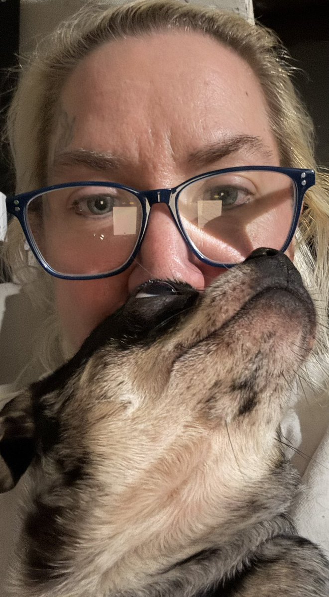 #Chihuahua #DogLovers #love #dog #endlesslove #bedingungsloseliebe #trueeyes #truelove #Perla