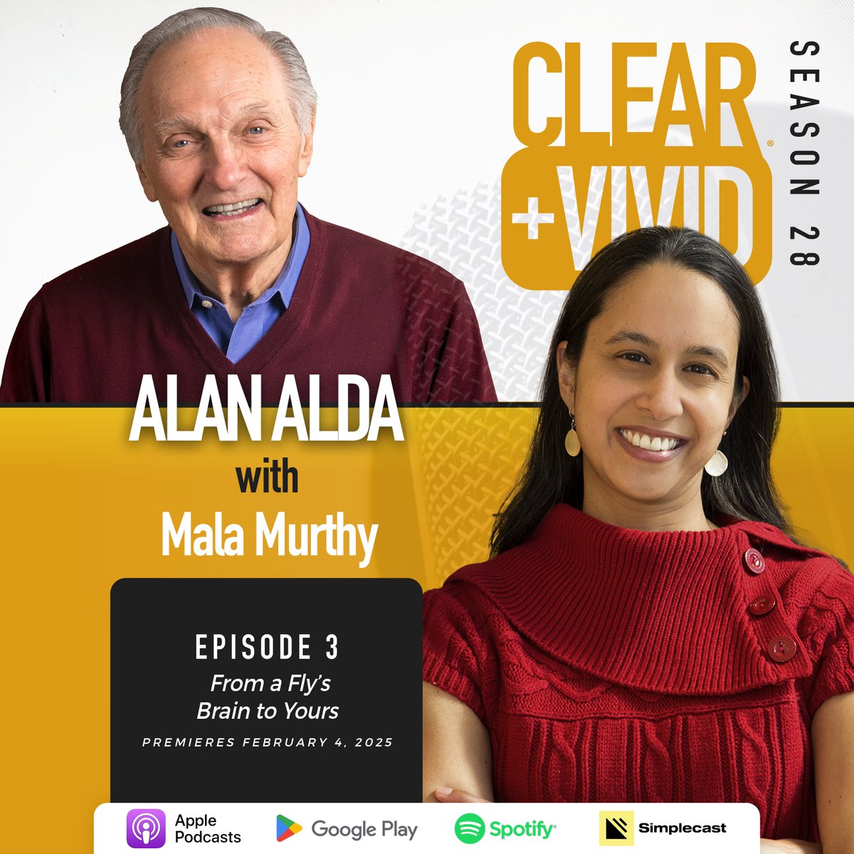 🧠 On the #ClearAndVivid podcast, @AlanAlda speaks with professor Mala Murthy about her research mapping an entire fruit fly brain to better understand diseases of the human brain.

Listen in: bit.ly/4hE50pS
