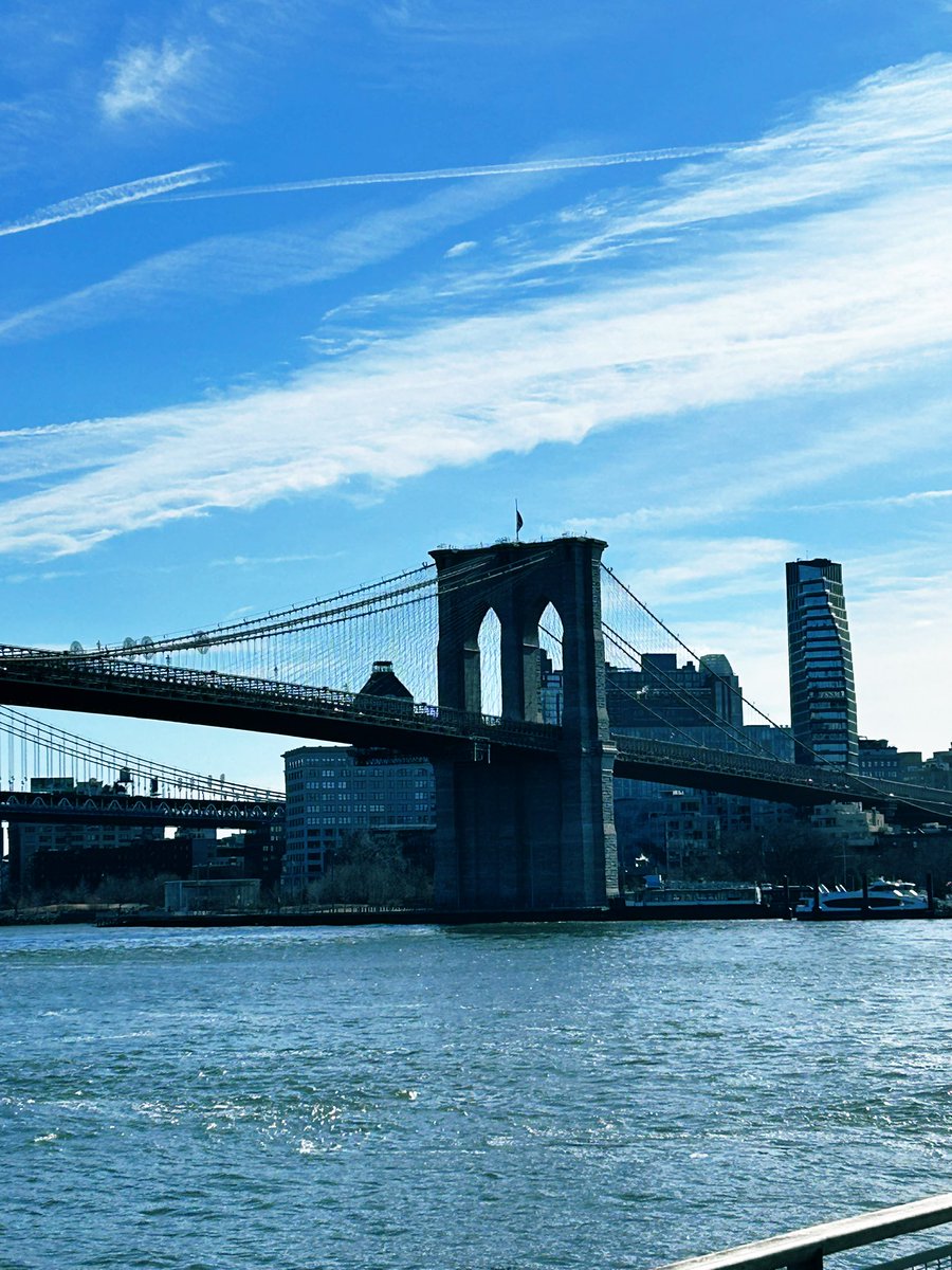 L A U R A 🌍 tweet media