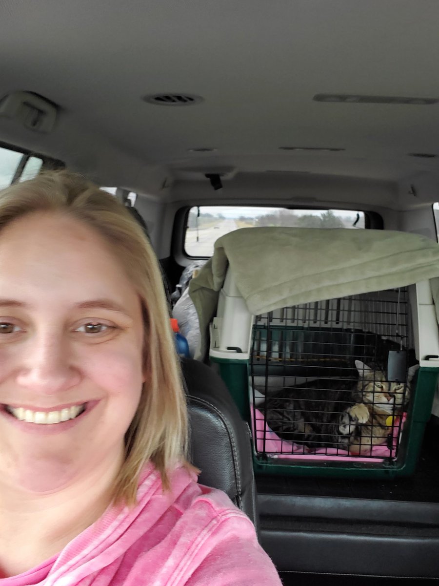 Listening to <a href="/JDSpradlin/">JD Spradlin</a> on <a href="/radiomville/">RadioMargaritaville</a> on our way back to DFW last week 🎶🍹(Jimmy clearly soothes Sophie's soul as much as he does mine. She was so chillin that trip!) #CatsOfTwitter #AdoptDontShop #SophieIsMySnoopy #RadioMargaritaville #Margarita #Parrothead #FelineParrothead