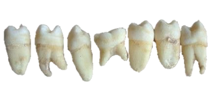 NETHERITEAXES's tweet image. 