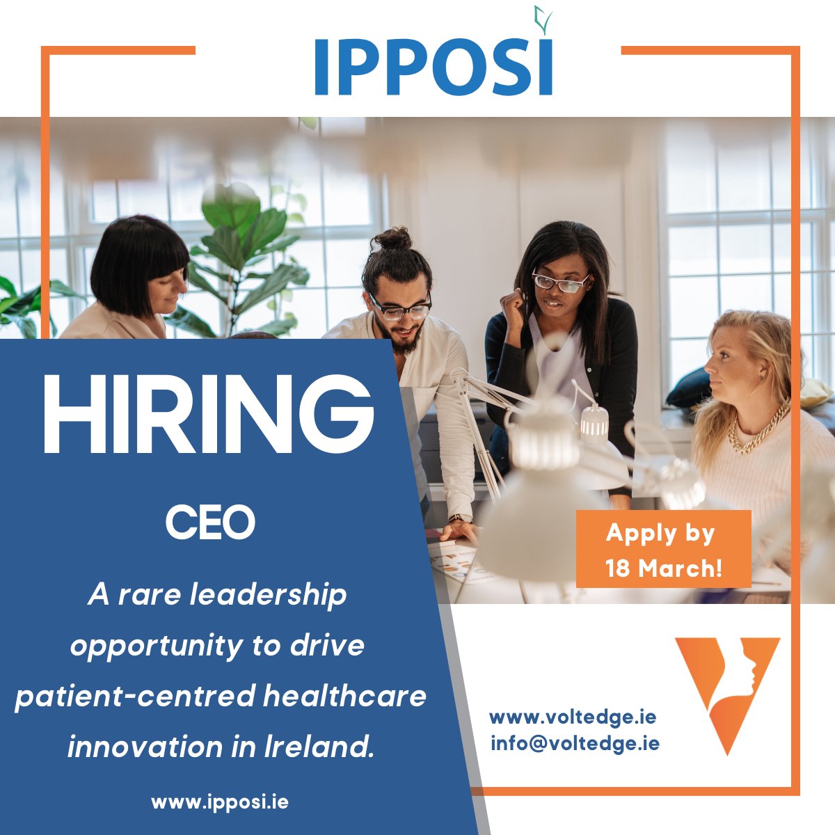 IPPOSI's tweet image. We're hiring - IPPOSI is looking for a new CEO! If you're passionate about patient advocacy and driving change in the health sector—or know someone who is—apply now! voltedge.hirehive.com/ceo-irish-plat… #CharityJobsIreland #jobfairy