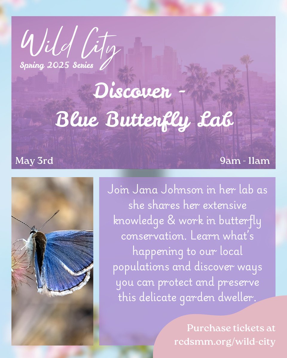 #WiLDCiTY is back! During our Spring '25 series participants will connect with native plant relatives guided by Tongva knowledge, create cyanotype prints &amp; discover how to conserve local butterfly populations at a zoo! 🌱💙🦋 Purchase your tix today at rcdsmm.org/wild-city/