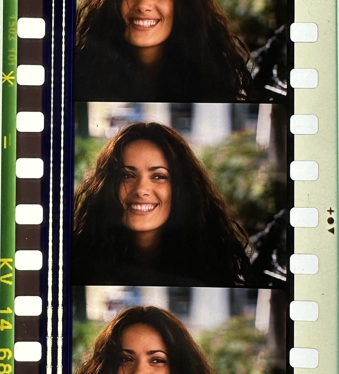 Cineteca Nacional tweet media