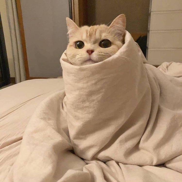 Gün boyu her şeyle alay ettikten sonra yurtta gelen overthink