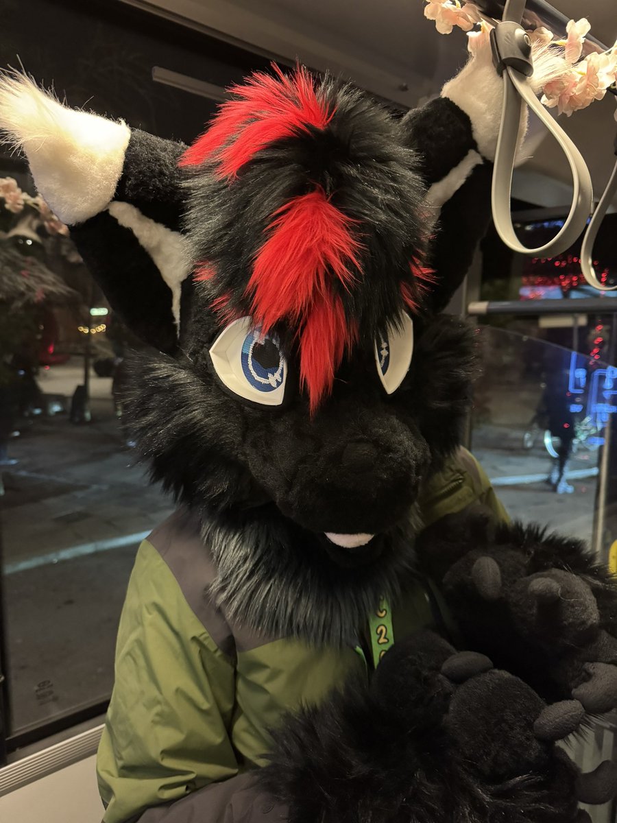 The bean is in sweden :3

Happy #FursuitFriday