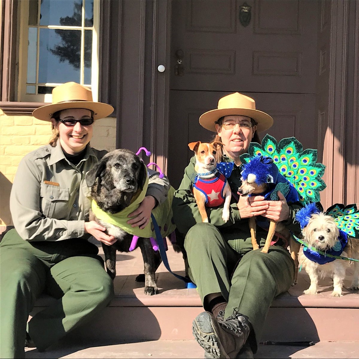 Martin Van Buren NPS tweet media