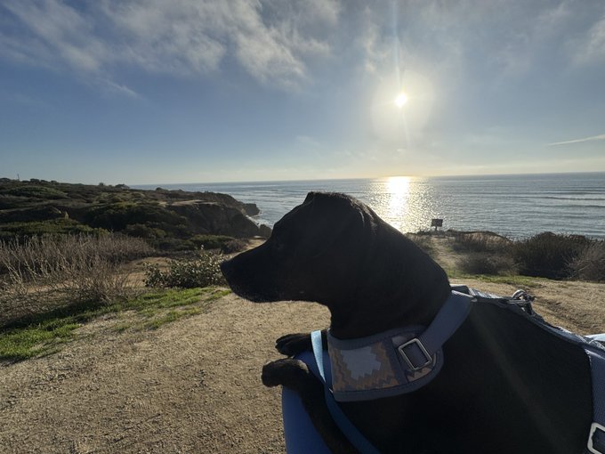 4 pic. It’s so amazing to have my days be filled with sun and ocean and relaxation. Sometimes I struggle
