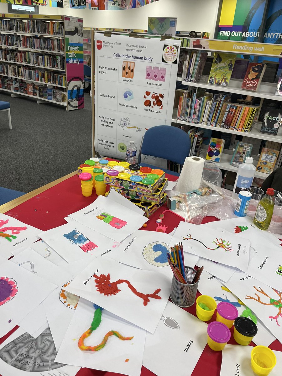 ottaviani_s's tweet image. What a great morning of science fun @NottsFOSAC 🧬 🧫 🧪 Thanks to all wonderful kids and parents that came along and got involved in many fun science activities! Thanks to all @NTUSciTech students and staff from @NTUBIOSCIENCES and @NTUEng that made it happen!