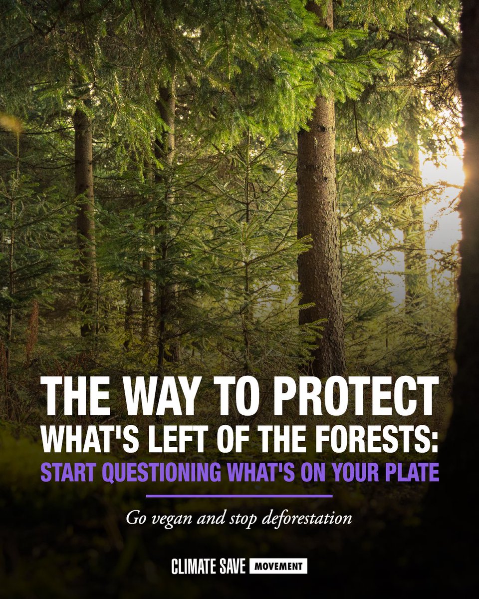 Did you know that animal agriculture is a major driver of deforestation? Vast areas of forest are destroyed to make room for grazing animals and to grow crops to feed animals–as many as 10,000 acres per day!

To fight against deforestation, start with your plate. Go #vegan 🌱