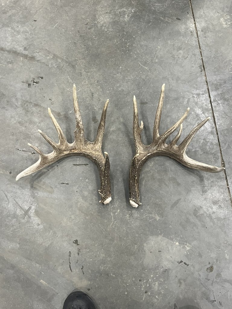 KeatingSeedCorp's tweet photo. Some cool finds out in the bin yard today! https://t.co/XgB4OZ8uMu