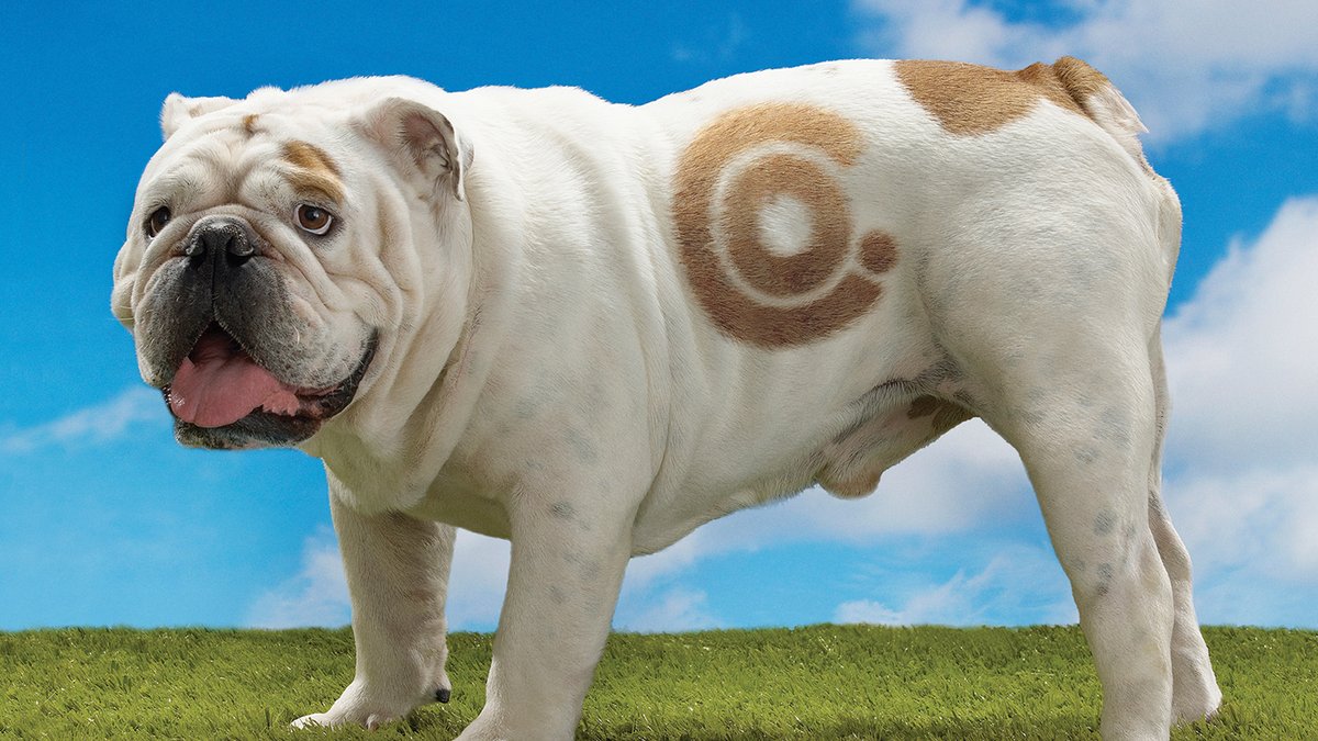 Alex Rinker tweet media