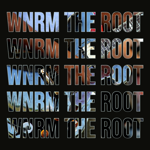WNRM The Root Independent Rock Radio - Only the best new rock, indie. funk punk and new blues wnrm.com