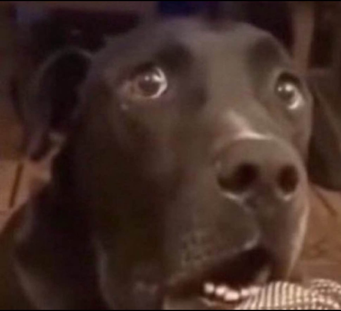 ayeejuju's tweet image. this app is crazy because how tf i just seen someone post a real life jail break 😭