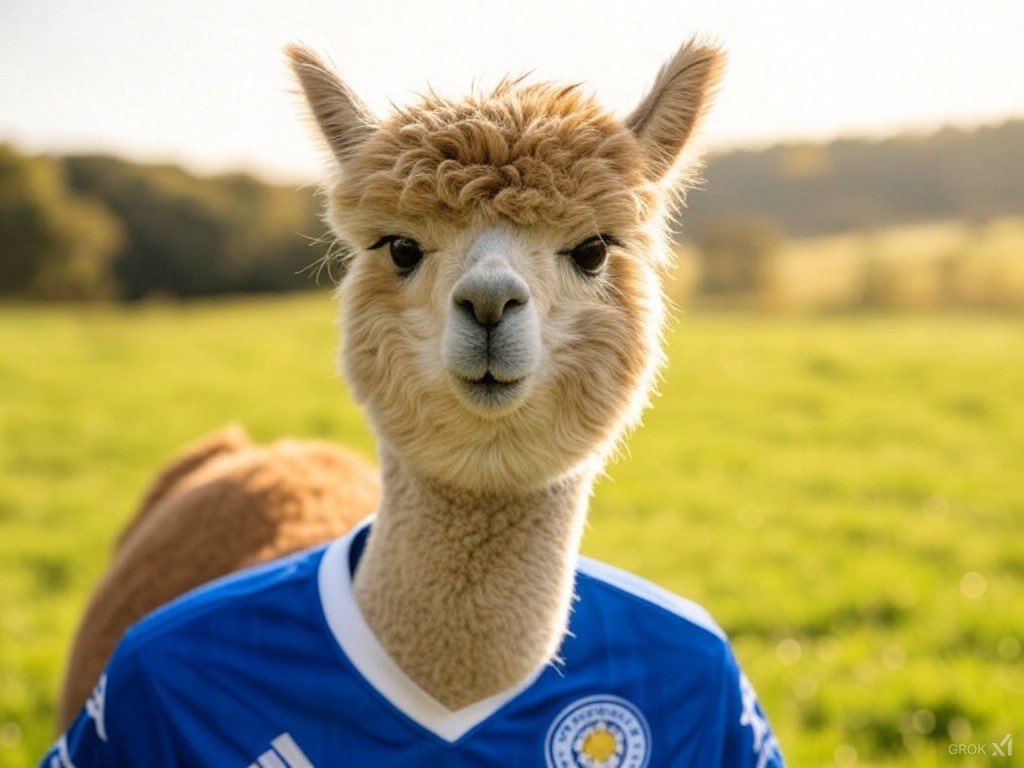 Paul Flannigan tweet media