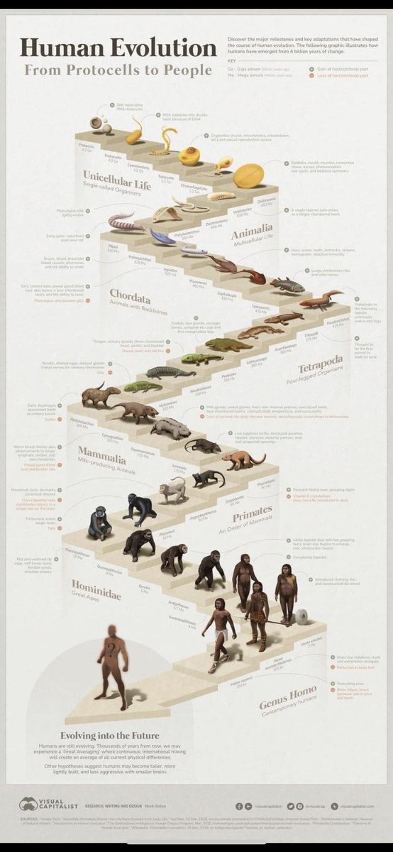 4 billion years of human evolution