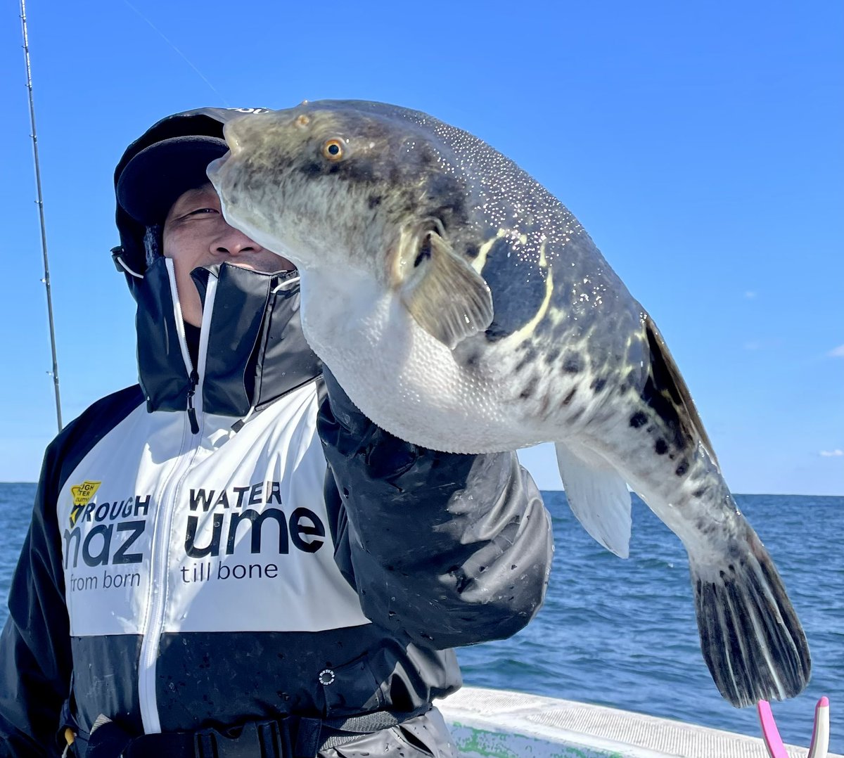tsuritengu's tweet image. ショウサイフグ行ってきた！
ショウサイフグ15匹
トラフグ1匹
ホヤ&amp;amp;マルキューの粉使ったら、調子良かった♪
裏本命のトラフグ釣れたしツヌケだし嬉しい✨

リーディングLG82
シーボーグ100JL
ダイワのカットウ仕掛け
ウマミパワーエビ&amp;amp;ホヤ