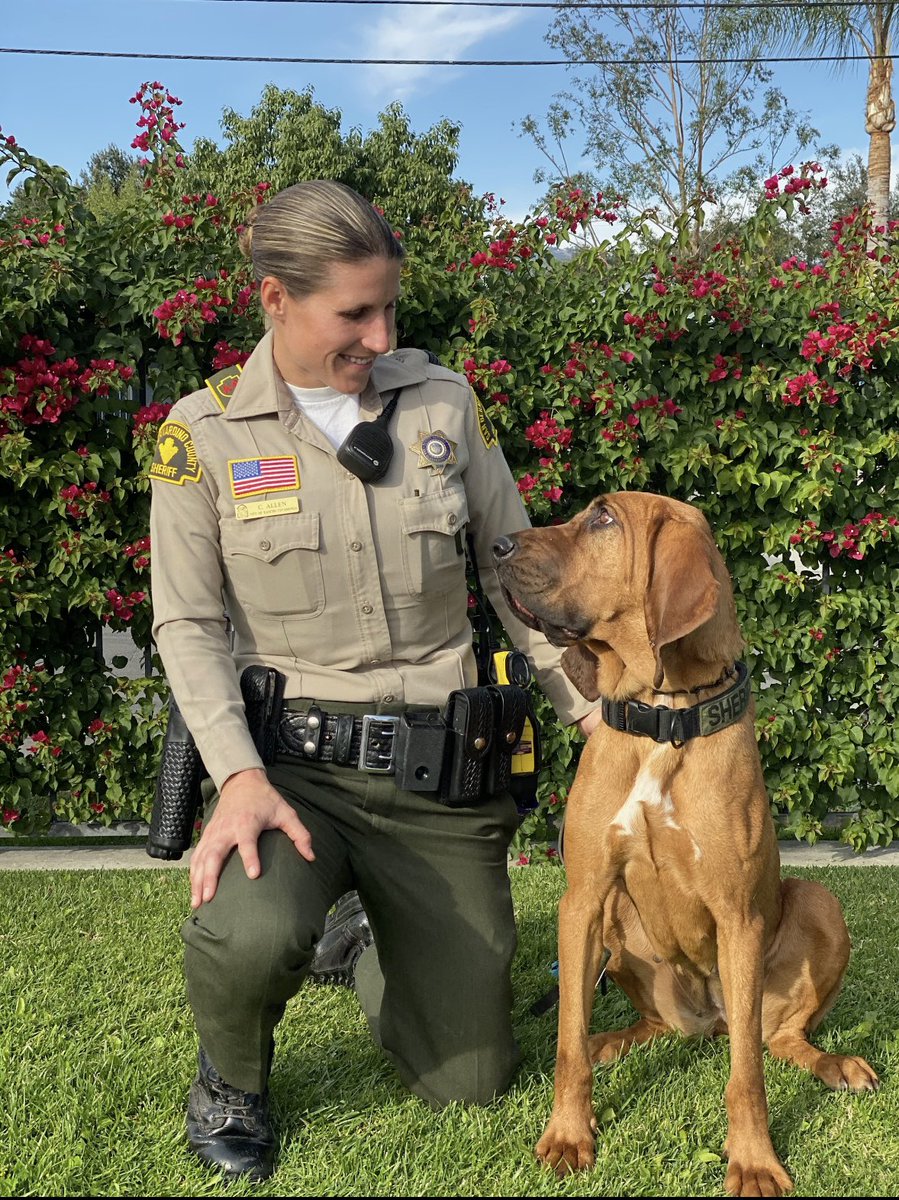 Rancho Cucamonga Police tweet media