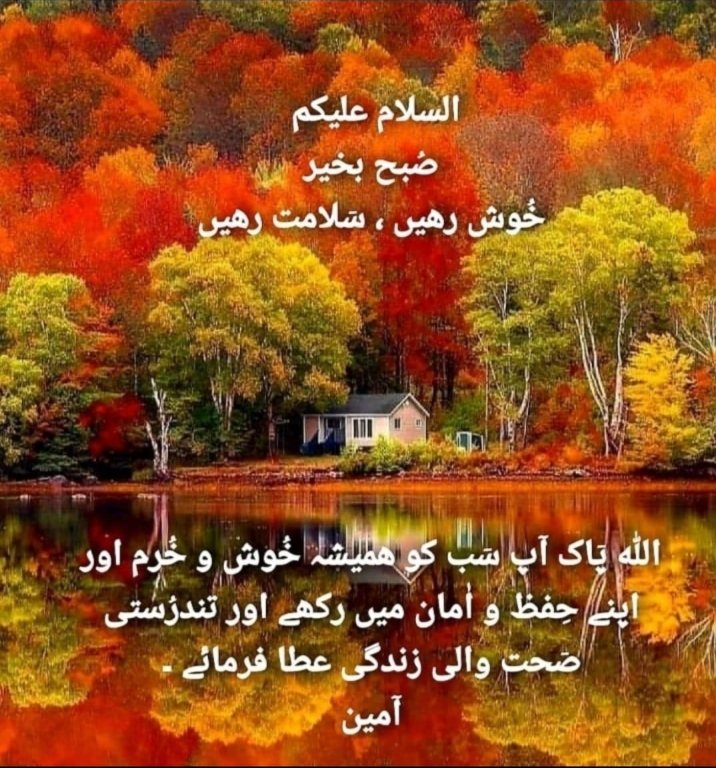 Mian Rizwan tweet media