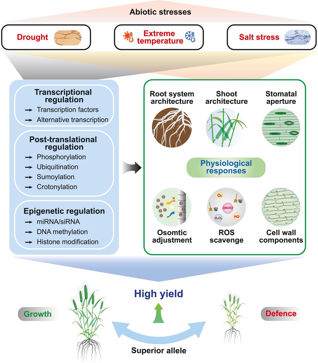 Plant Science tweet media