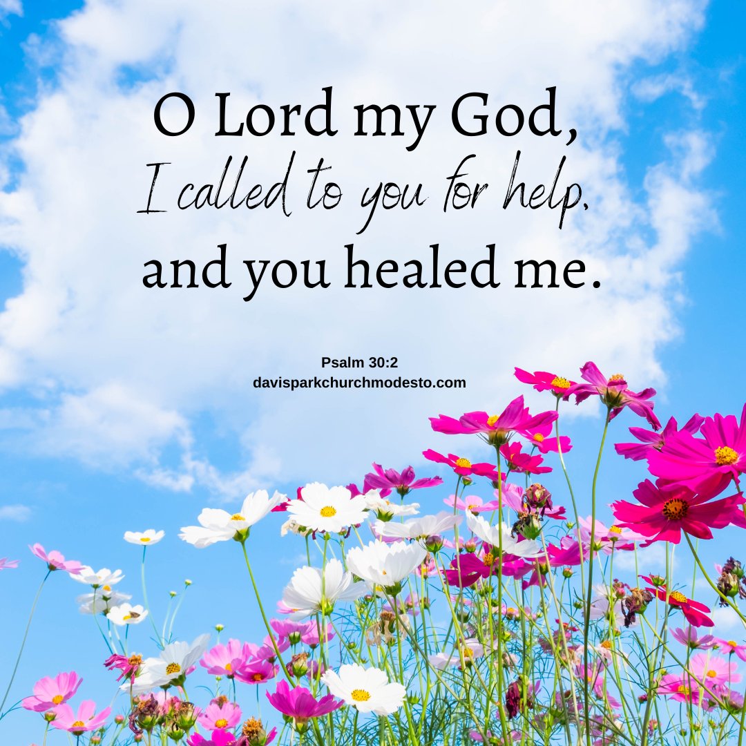 DavisParkChurch's tweet photo. #PLEASEPRAYFOR Mary, she is in the hospital and is going to have some toes amputated. Davis Park Church of Christ | 901 W. Rumble Rd. Modesto | (209) 522-7226. #AwesomeGod https://t.co/EFexW9CNGP